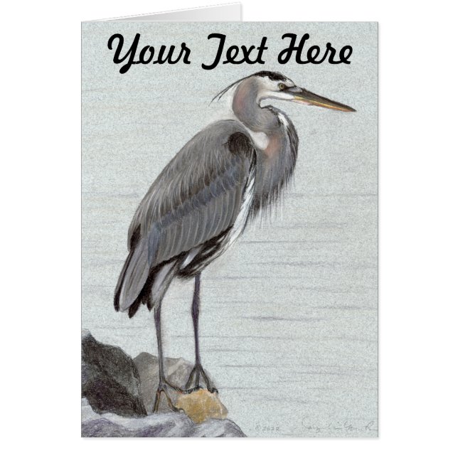 Great Blue Heron (Vorne)
