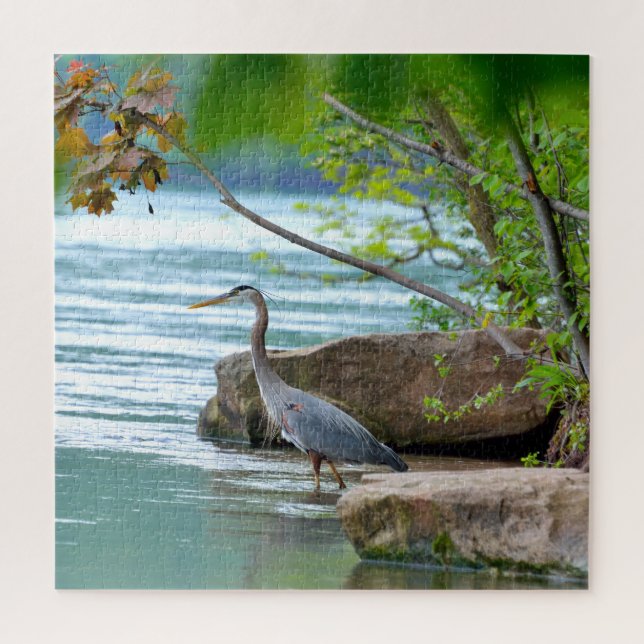 Great Blue Heron (Vertikal)