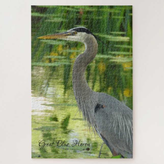 Great Blue Heron (Vertikal)