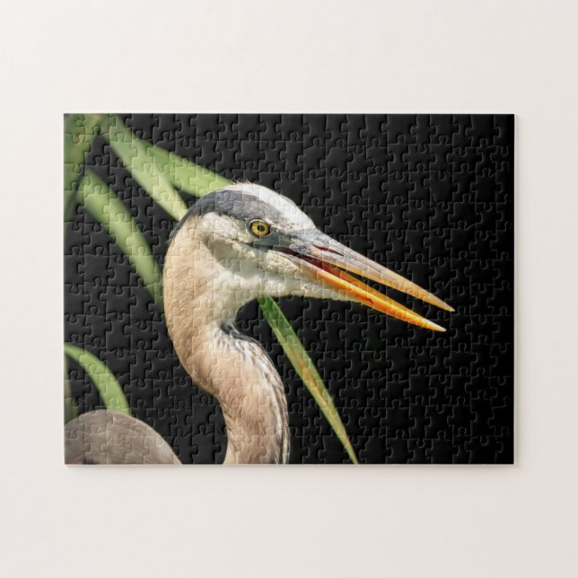 Great Blue Heron (Horizontal)