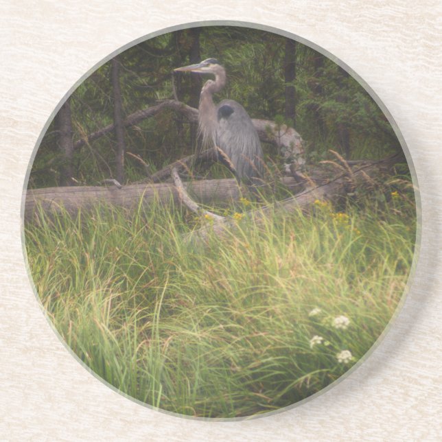 Great Blue Heron 8917 Getränkeuntersetzer (Vorne)