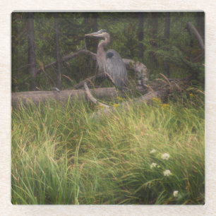 Great Blue Heron 8917 Glasuntersetzer