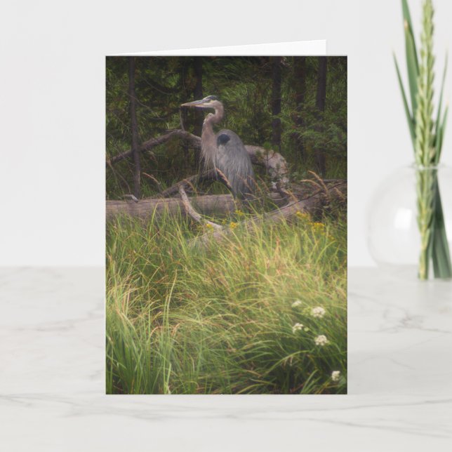 Great Blue Heron 8917 Karte (Vorderseite)