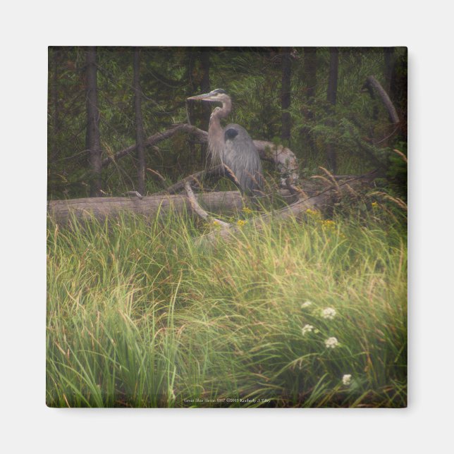 Great Blue Heron 8917 Magnet (Vorne)