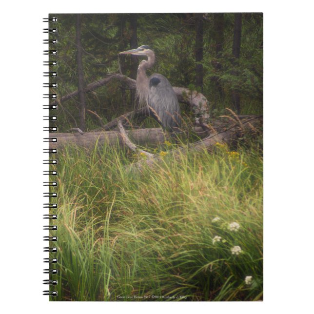 Great Blue Heron 8917 Notizblock (Vorderseite)