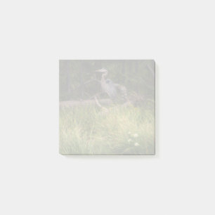 Great Blue Heron 8917 Post-it Klebezettel