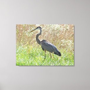 Great Blue Heron - Ardea herodias - #2 Leinwanddruck