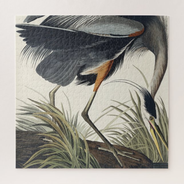 Great Blue Heron aus Birds of America (Vertikal)