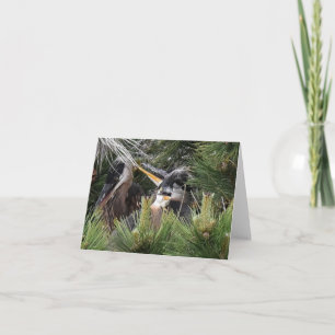 Great Blue Heron Baby Karte