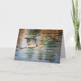 Great Blue Heron Bird  All Occasion Blank Feiertagskarte