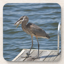 Great Blue Heron Bird Nature Wildlife Fotografy Getränkeuntersetzer