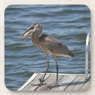 Great Blue Heron Bird Nature Wildlife Fotografy Getränkeuntersetzer