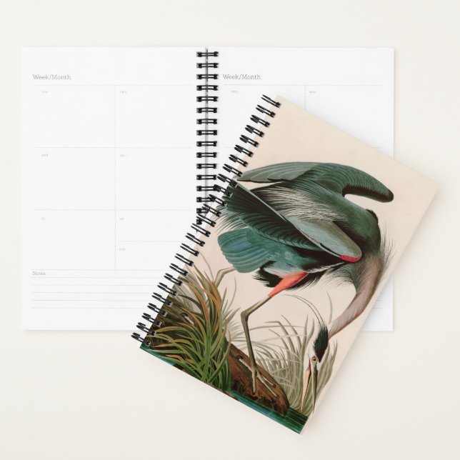 Great Blue Heron Birds of America Audubon Imprimer (Devant avec enveloppe)
