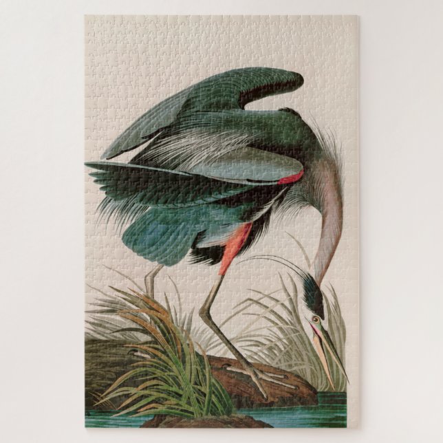 Great Blue Heron Birds of America Audubon Print (Vertikal)