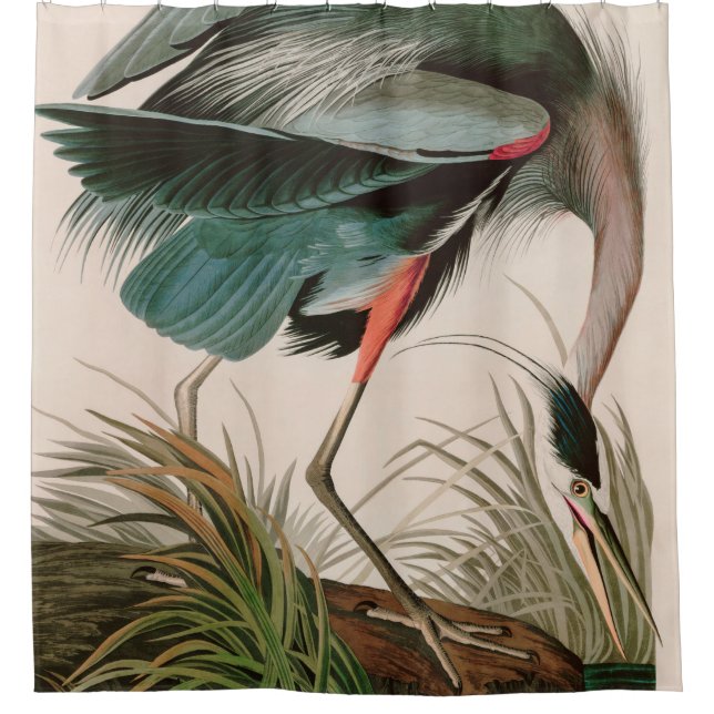 Great Blue Heron Birds of America Audubon Print Duschvorhang (Vorderseite)