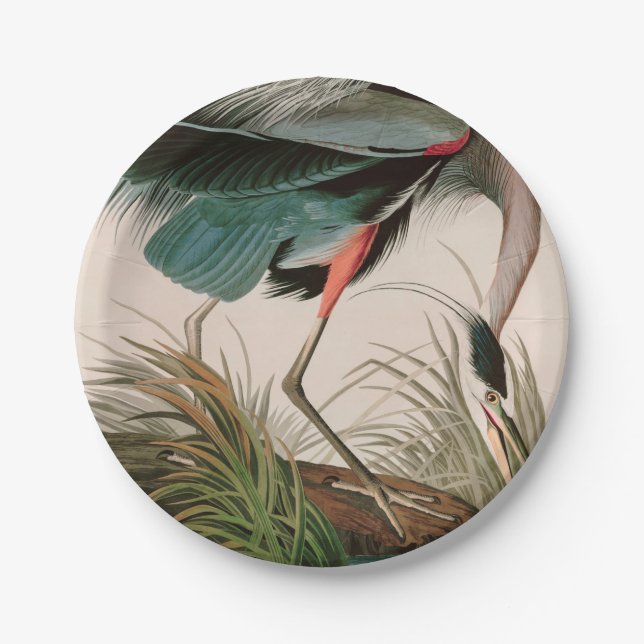 Great Blue Heron Birds of America Audubon Print Pappteller (Vorderseite)