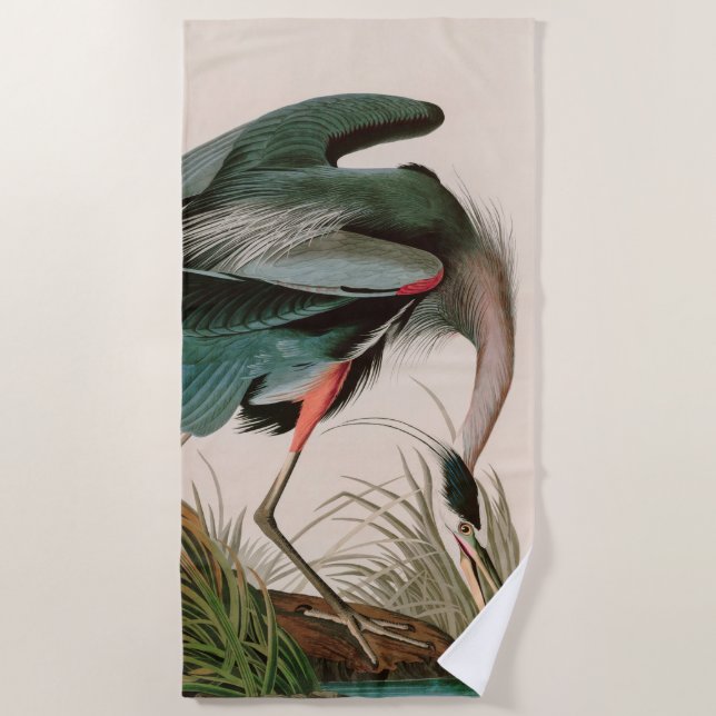 Great Blue Heron Birds of America Audubon Print Strandtuch (Vorderseite)