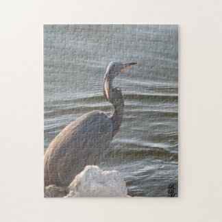 Great Blue Heron by the Water