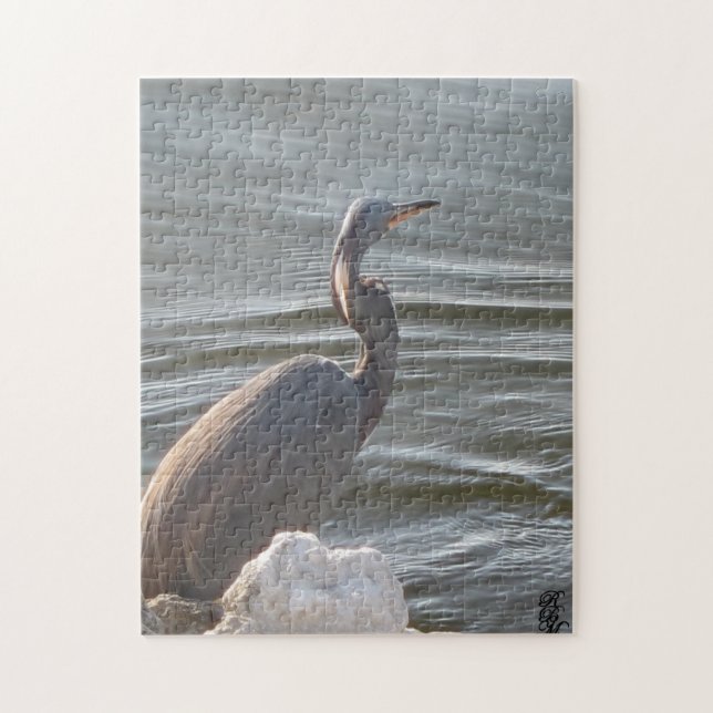 Great Blue Heron by the Water (Vertikal)
