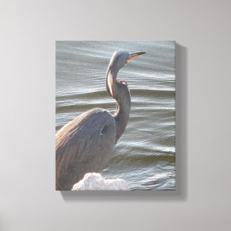 Great Blue Heron by the Water Leinwanddruck