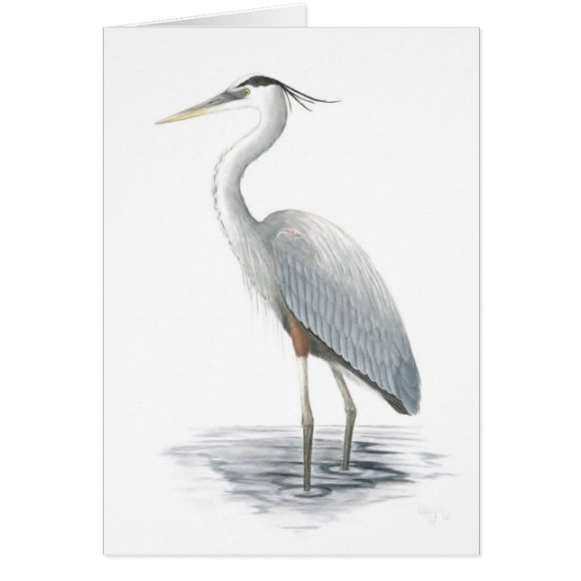 Great Blue Heron Card (Vorne)