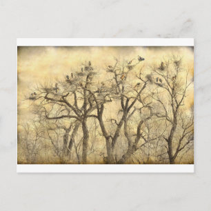 Great Blue Heron Colonies Fine Art Postkarte
