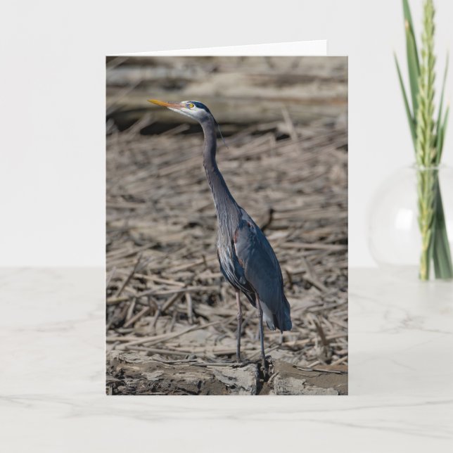 Great Blue Heron Dankeschön Card Dankeskarte (Vorderseite)