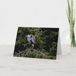 Great Blue Heron Erholung Danke, Card Dankeskarte