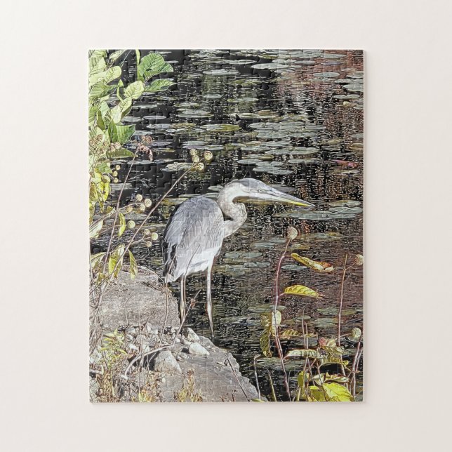 Great Blue Heron Fishing (Vertikal)