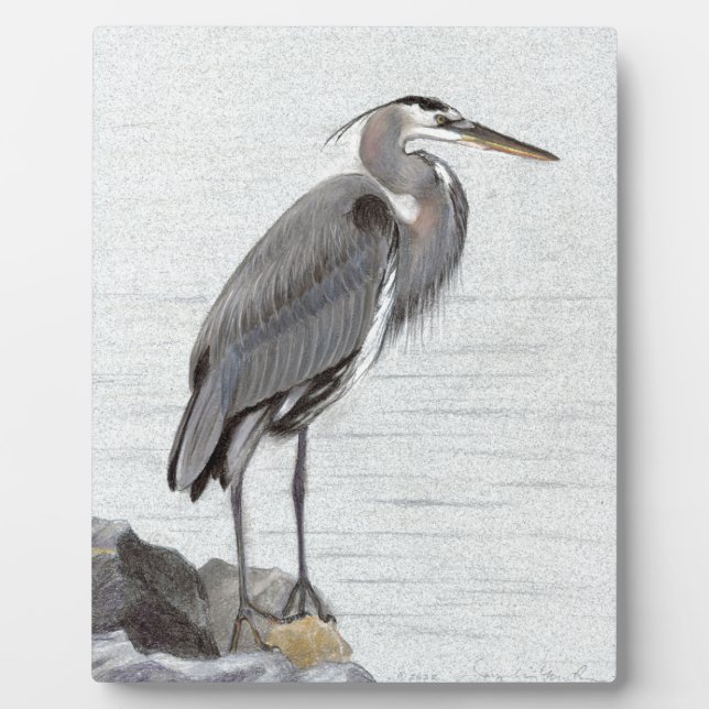 Great Blue Heron Fotoplatte (Vorderseite)