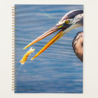 Great Blue Heron Hunting Prey Wildlife Art Print