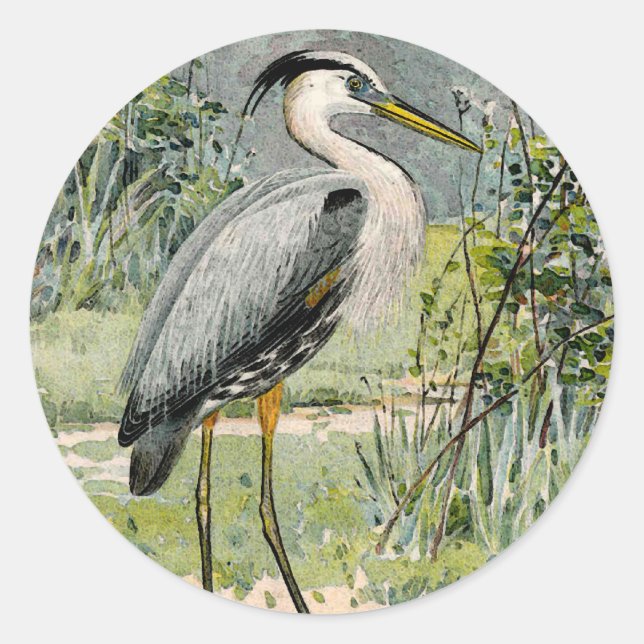 Great Blue Heron Illustration Runder Aufkleber (Vorderseite)