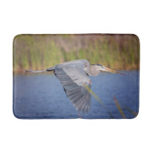 Great Blue Heron in Flug