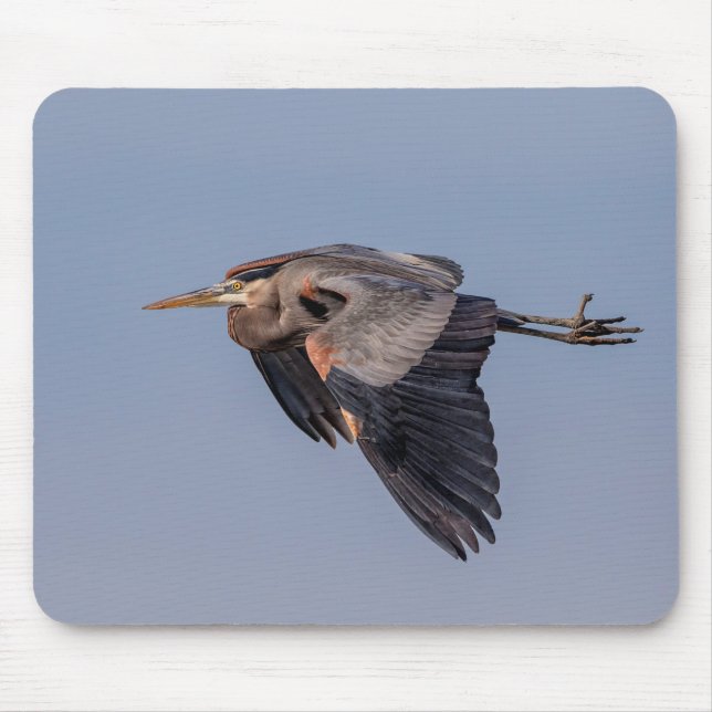 Great Blue Heron in Flug Mousepad (Vorne)