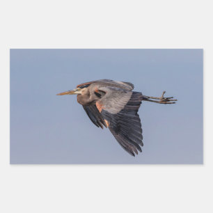 Great Blue Heron in Flug Rechteckiger Aufkleber