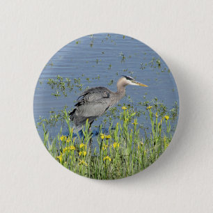 Great Blue Heron in River. Button