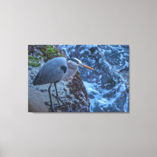 Great Blue Heron Leinwanddruck