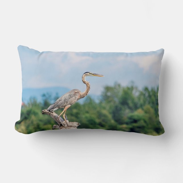 Great Blue Heron Lendenkissen (Vorderseite)