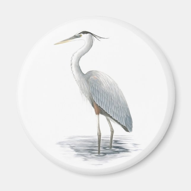 Great Blue Heron Magnet (Vorne)