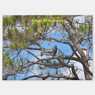 Great Blue Heron Magnet