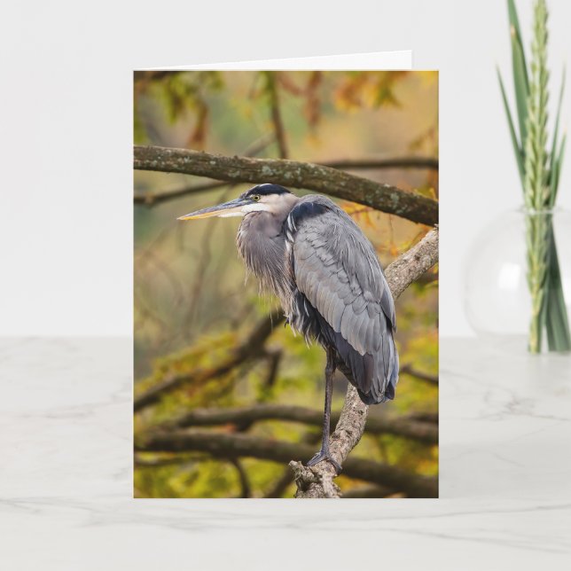 Great Blue Heron mit Herbstfarben Grußkarte Karte (Vorderseite)