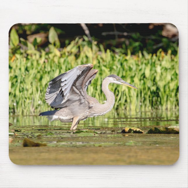 Great Blue Heron Mousepad (Vorne)