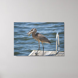 Great Blue Heron Nah Up Leinwanddruck