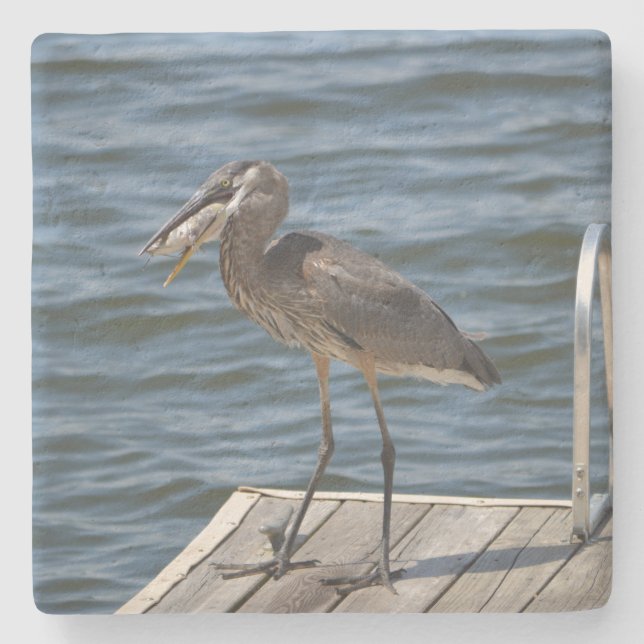 Great Blue Heron Nah Up Steinuntersetzer (Vorderseite)