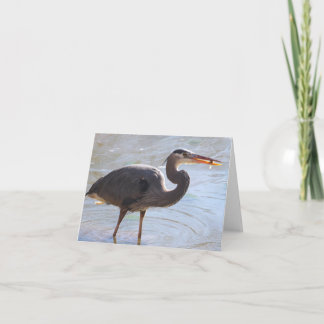 Great Blue Heron Notecard Karte