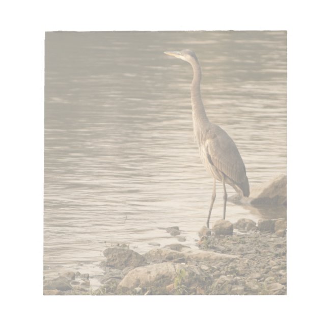 Great Blue Heron Notizblock (Vorderseite)