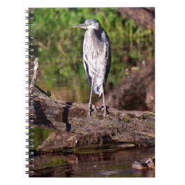 Great Blue Heron on Log Foto Notebook Journal Notizblock