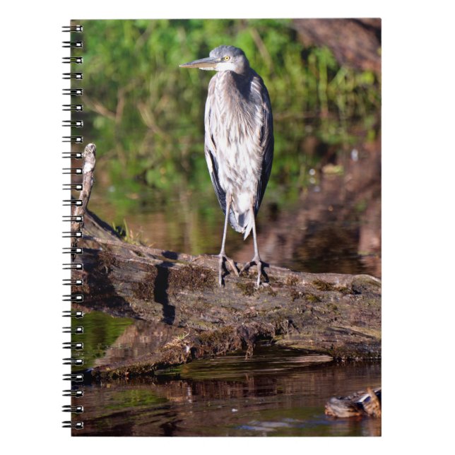 Great Blue Heron on Log Foto Notebook Journal Notizblock (Vorderseite)