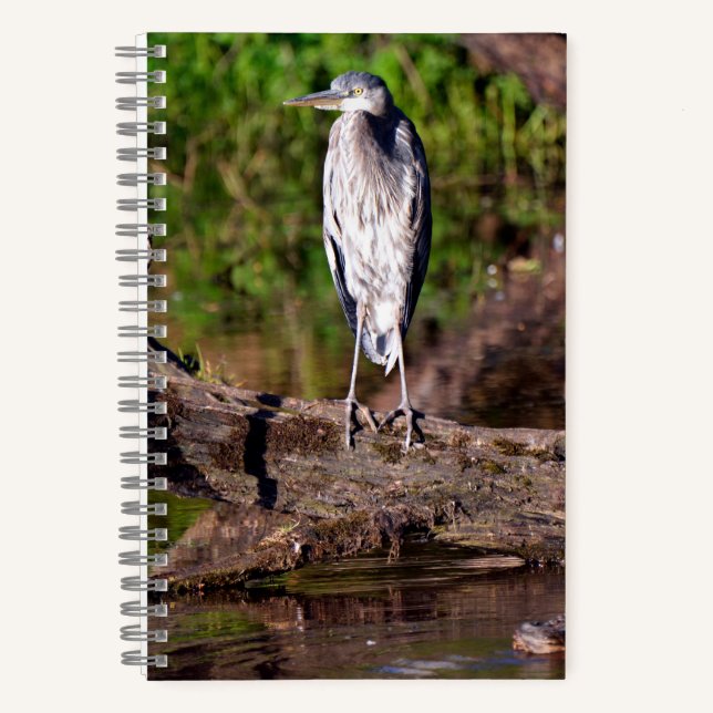 Great Blue Heron on Log Foto Notebook Journal Notizbuch (Vorderseite)