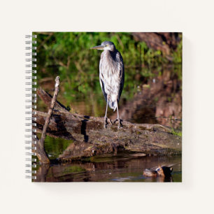 Great Blue Heron on Log Foto Notebook Journal Notizbuch